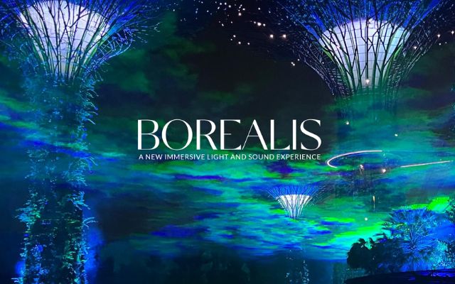 singapore's gardens by the bay launches an aurora borealis installation