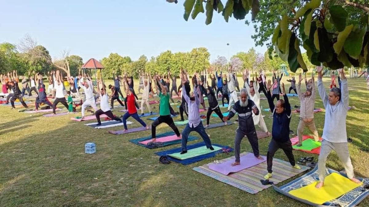 yoga makes official entry into pakistan with free classes in islamabad's most prominent park