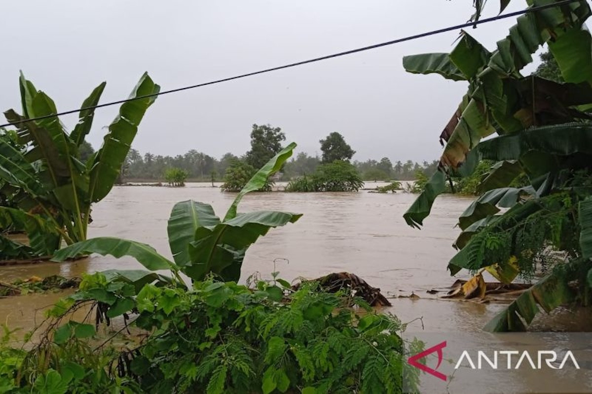 banjir disertai longsor di luwu sulsel, 14 warga meninggal dunia