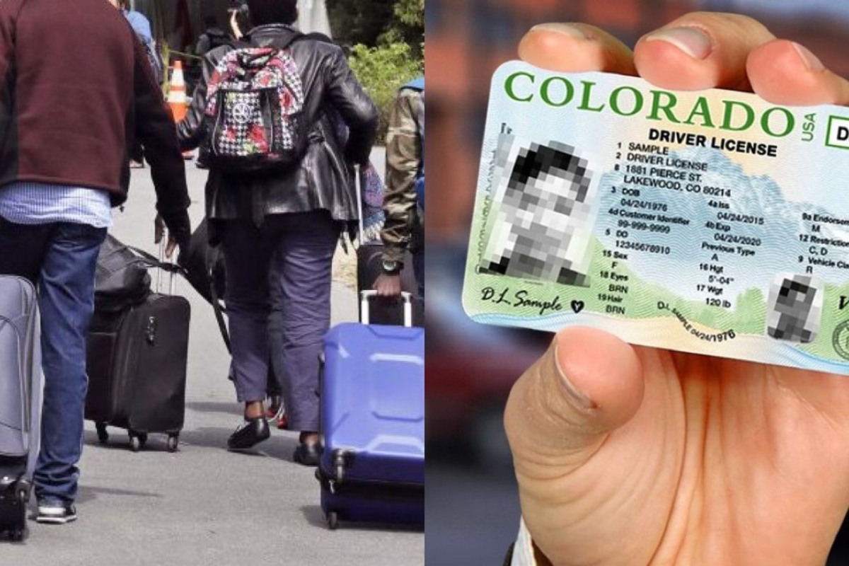 proponen ley para dar licencia de conducir a inmigrantes recién llegados a colorado