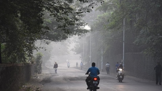 amid light rain, heatwave conditions to persist in parts of karnataka, says imd