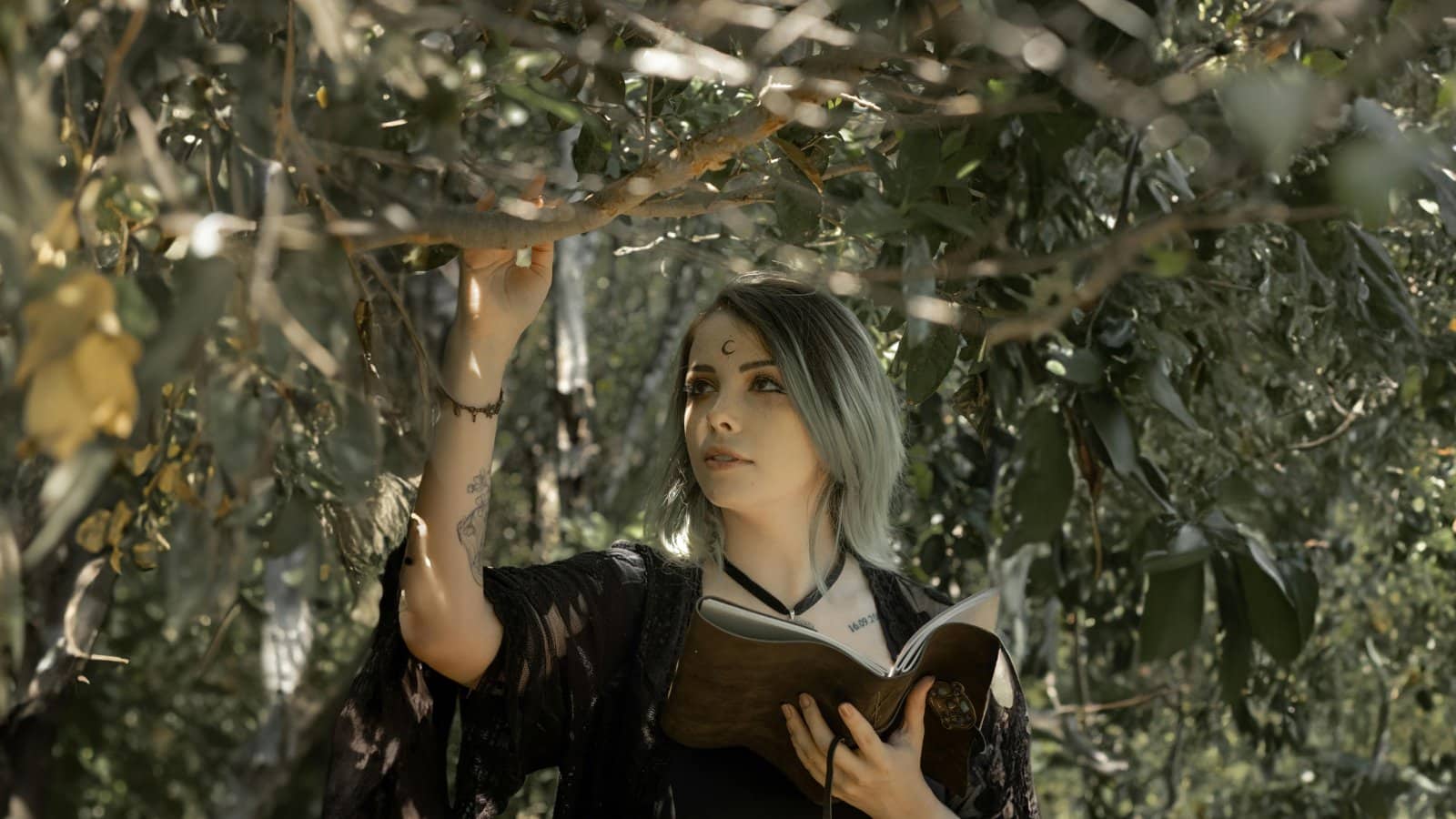 Image Credit: Pexel / Leonardo Pavão <p>Followers of Neopagan paths like Wicca and Druidism find solace in nature worship and ancient rituals, providing an eco-friendly alternative to the fire-and-brimstone of traditional sermons.</p>
