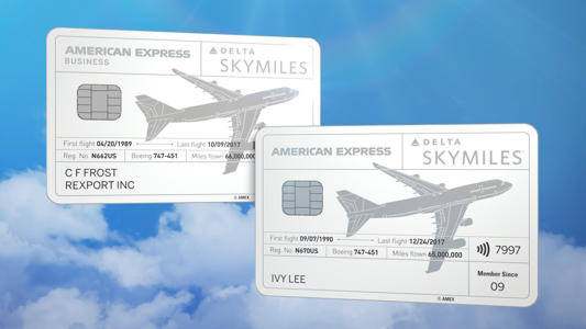 These popular Delta Amex credit cards — made from a Boeing 747 — are back<br><br>