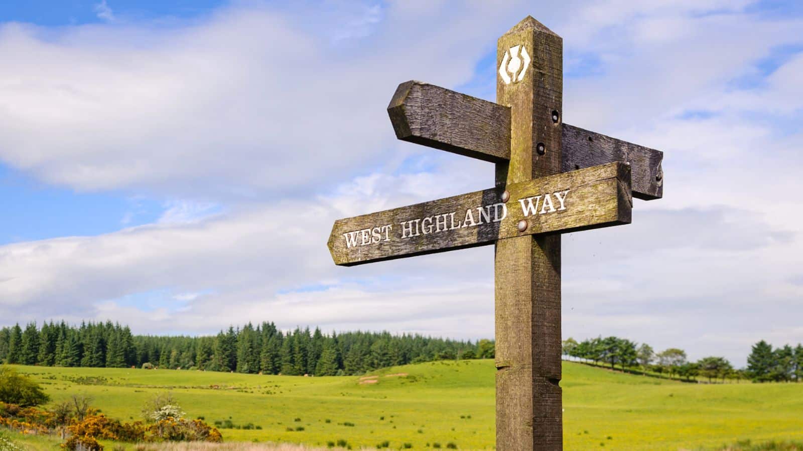 <p>The West Highland Way is one of Scotland’s most popular multi-day hikes. The trail extends 154km (96 miles) from Milngavie to Fort William, taking you through stunning and diverse landscapes.</p><p>Expect mountains, rivers, and lochs, incredible valleys, and densely forested areas. There are pubs to rest your legs at, too, campsites to meet fellow hikers at, distilleries to explore (for research purposes only, of course), and a whole lot of other unique sights to enjoy.</p>