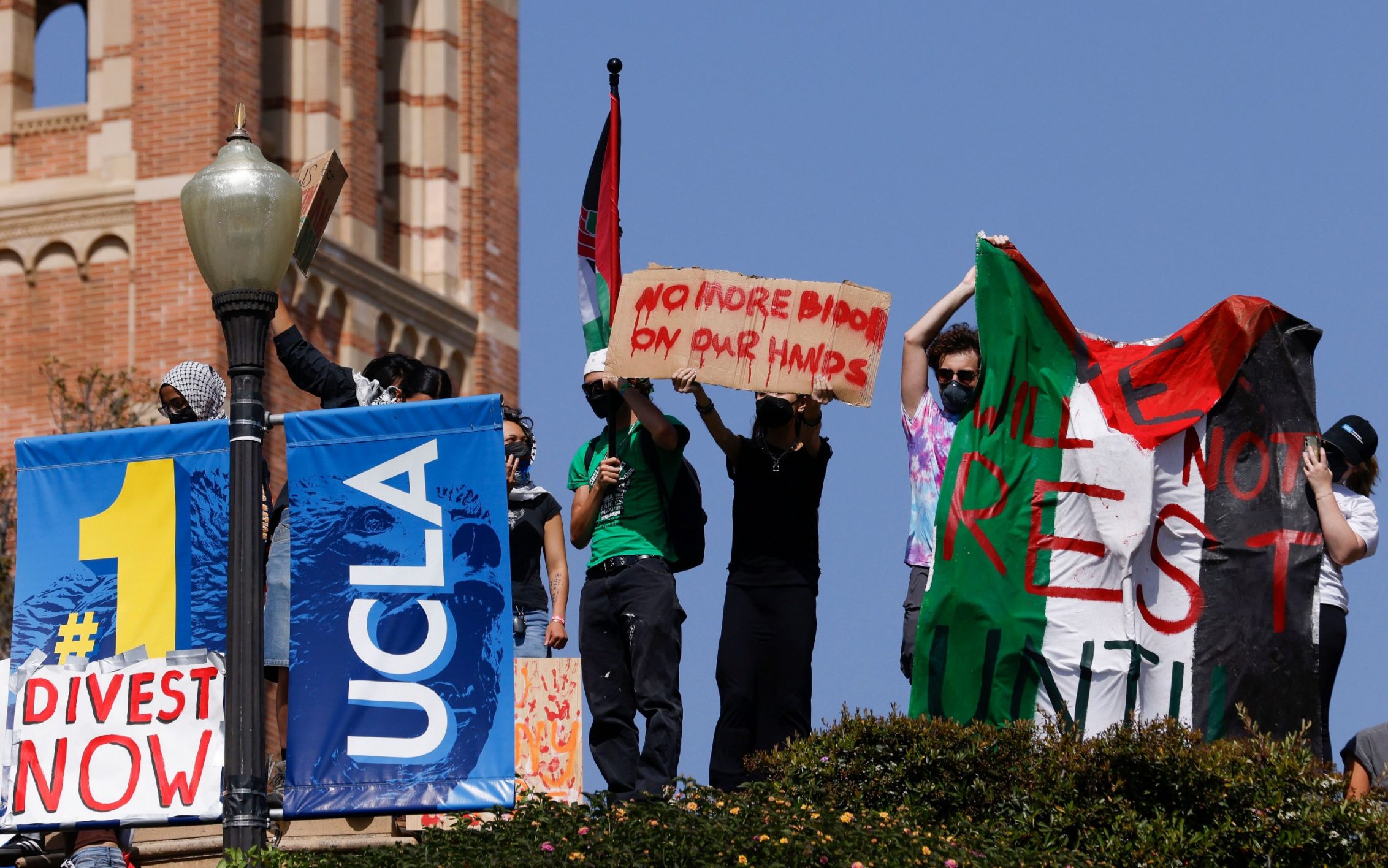 pro-palestine university groups are ‘radicalising’ us students