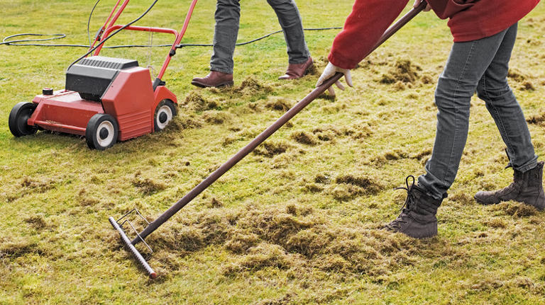 The Simplest Way To Remove Standing Water From Your Lawn