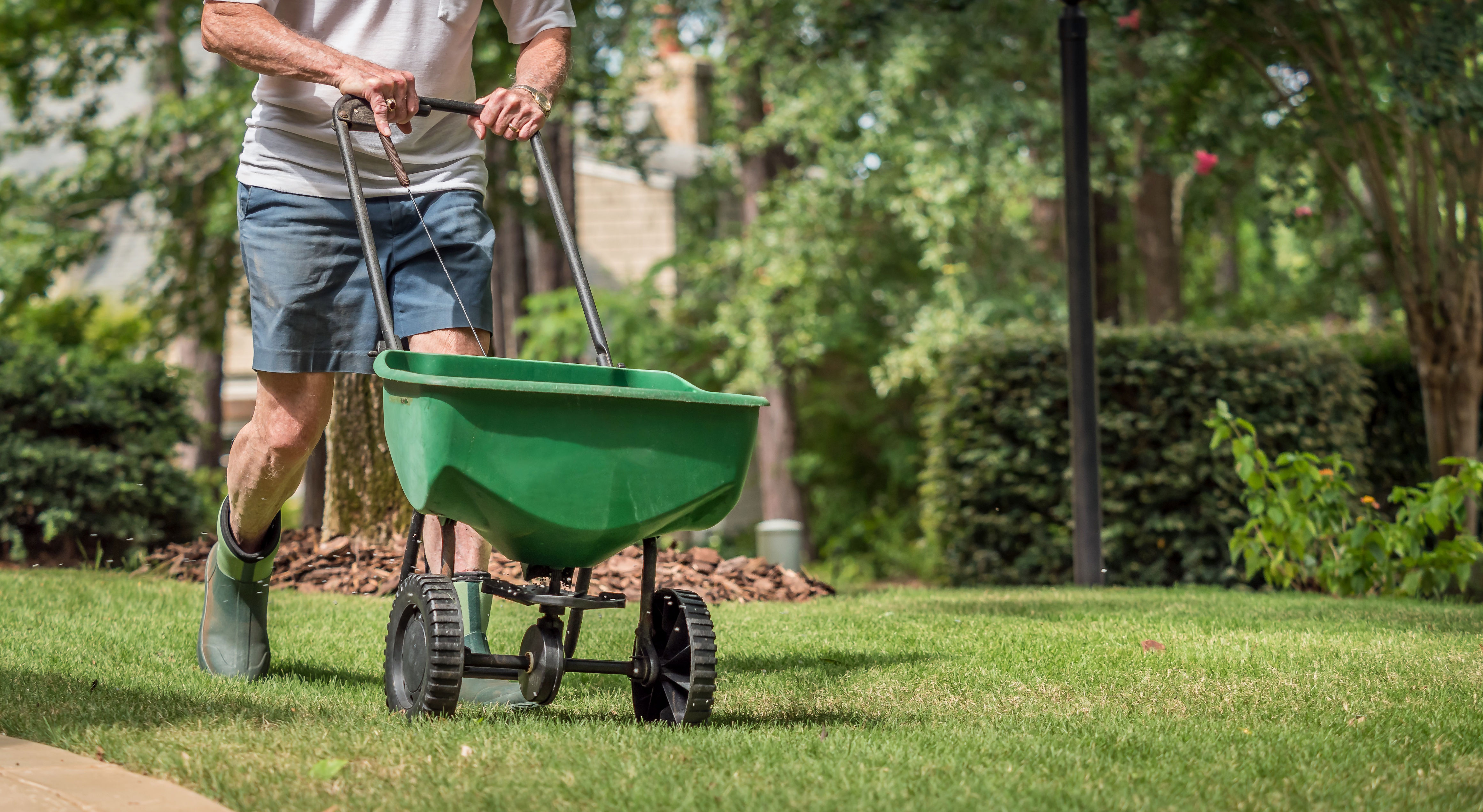 how to, how to get rid of brown patches in your lawn — we ask a gardening expert