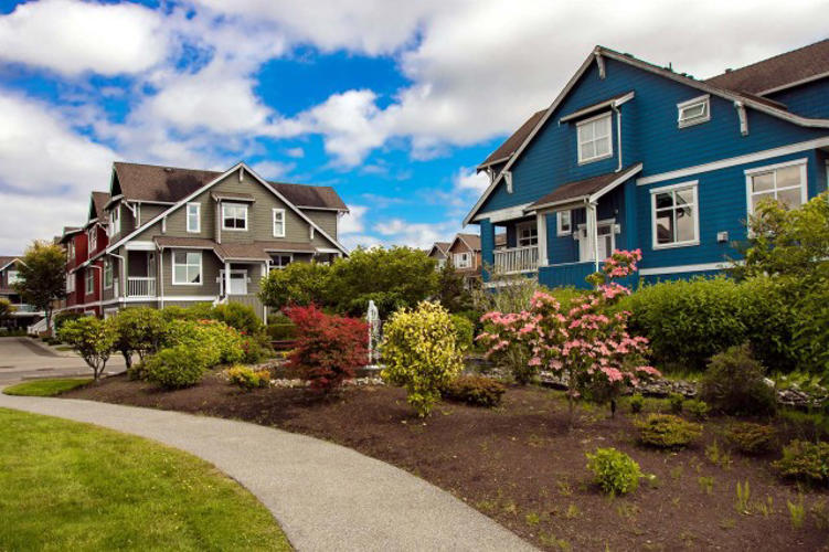 Homeowner shares amazing impact of converting front lawn: 