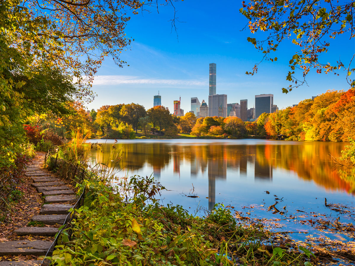 <p>38 million people walk through the paths of Central Park every year. While it is pristine and beautiful today, it has a rather shady history. It was once home to Seneca Village, a place where many freed African American slaves, Irish people, and Germans lived. They were forced out of their homes by the city’s plan to develop the park.</p> <p>The land also wasn’t great for a park as it couldn’t grow plants well, but the city’s bureaucrats wanted this European-inspired park so badly, they took tons of more-fertile topsoil from New Jersey to support the grass and trees. It is now a very popular destination for tourists and is featured in hundreds of movies.</p>