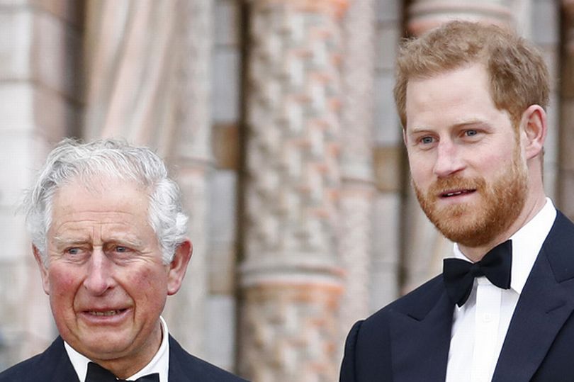 prince harry's reason for snubbing king charles during public appearance explained