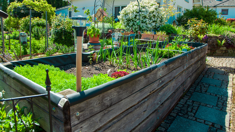three important soil ingredients you should use in a raised garden bed