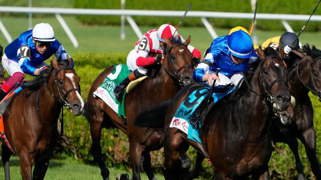 イギリスの競馬場、“ある動物たち”の平和な乱入で一時中断の珍事件。「順番待ちしとる」