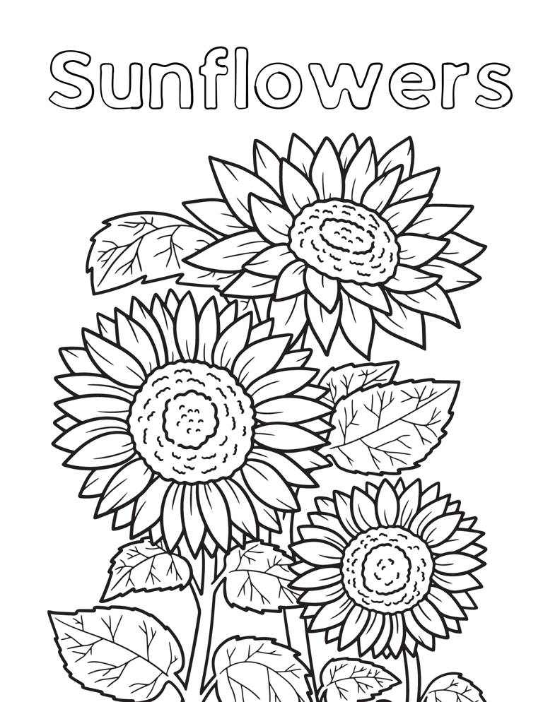 sunflower coloring page