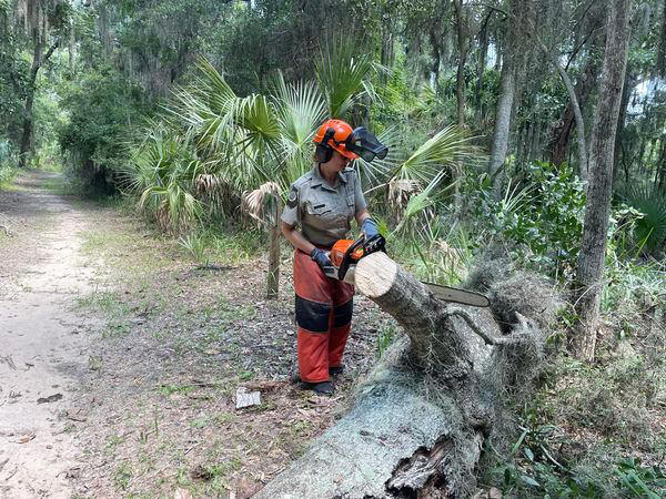 Fort McAllister welcomes visitors after Debby