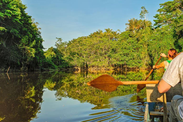 From Ecuador to Brazil, even the average Joe can experience the Amazon's wonders. Photo / 123rf