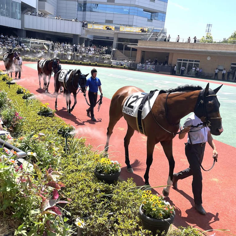 ついに97場全制覇！そして馬券は「有終の微」な的中だった／全国「旅打ち」行脚～中京競馬(下)