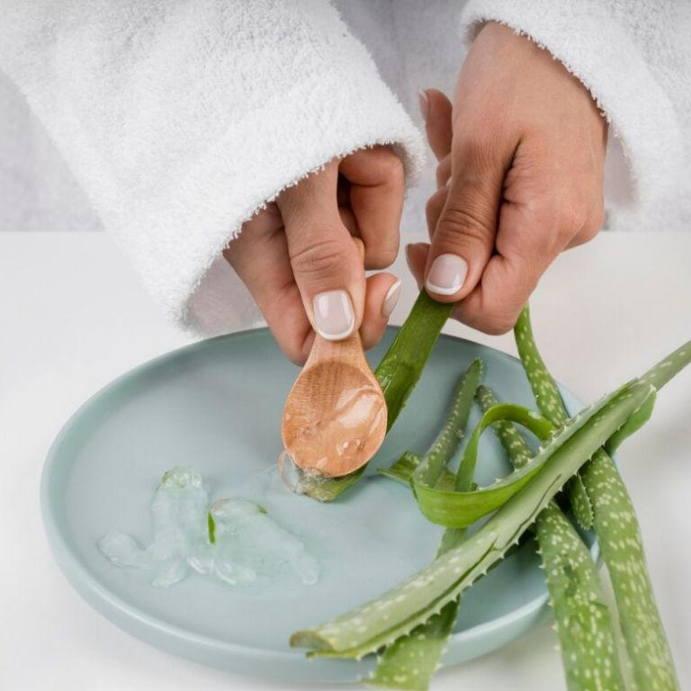 El aloe vera ha sido utilizada para tratar diversas afecciones de la piel | Foto: Freepik