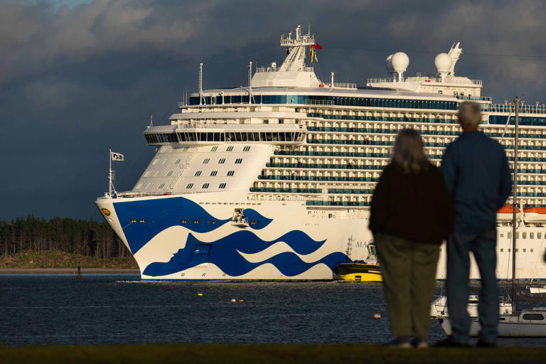 The cruise ship season will be welcomed by local tourism operators. Photo / Alex Cairns.