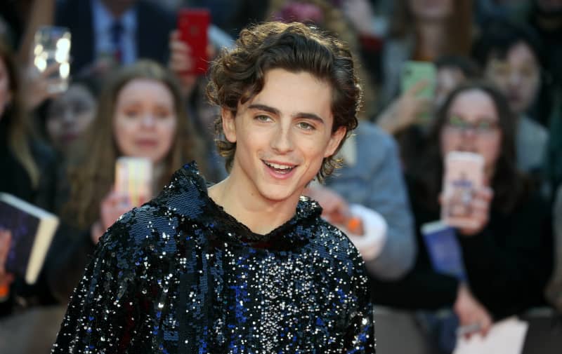 Impressive Facts About Timothée Chalamet You Didn't Know