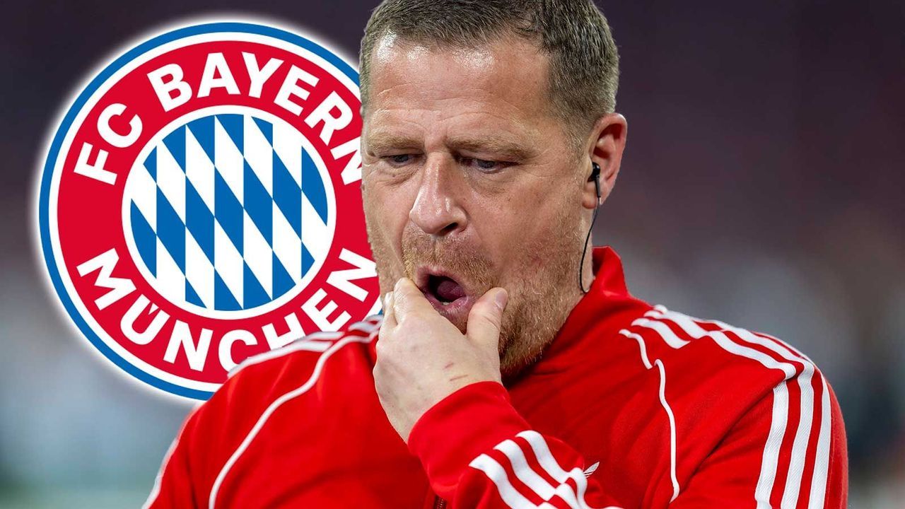 Pikanter Eberl-Zoff: Ein Bärendienst für die Bayern?