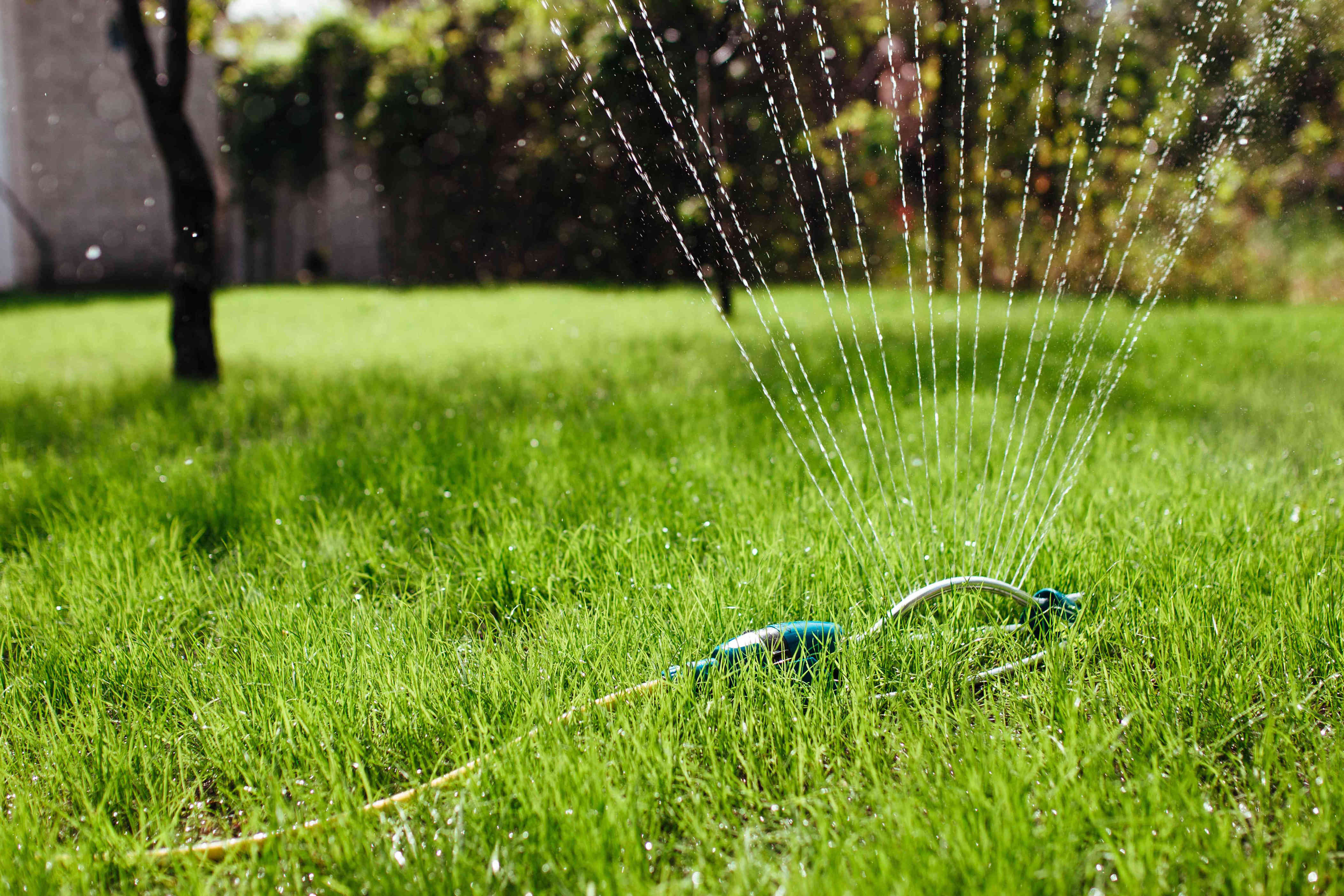 This Is the Best Time to Water Grass, According to Lawn Experts