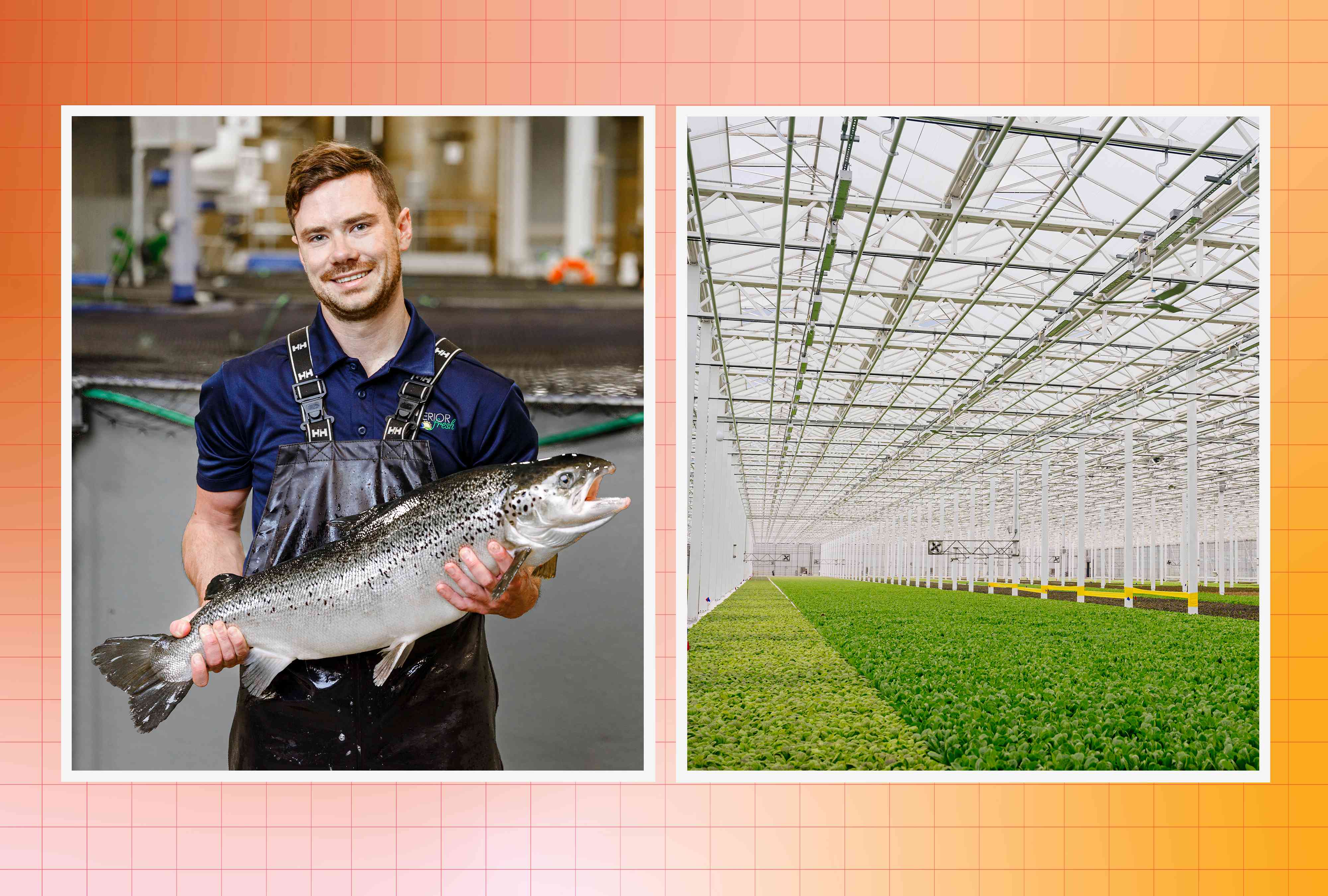 Why America's Favorite Fish Is Being Farmed Indoors