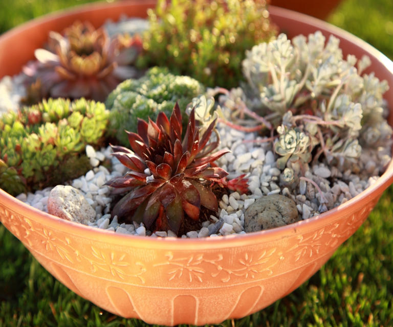 How To Create A Rock Garden In A Container – To Display Anywhere In 