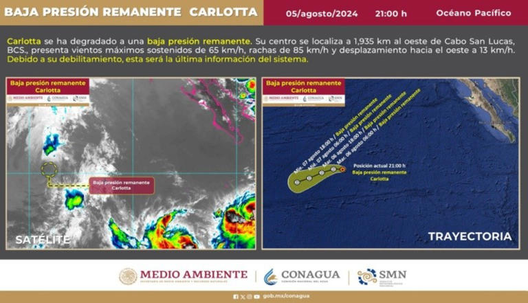 Previsión oficial.