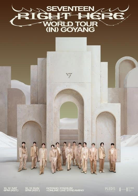 Seventeen RIGHT HERE 韓国コヤン カラットゾーン ウォヌ - メルカリ