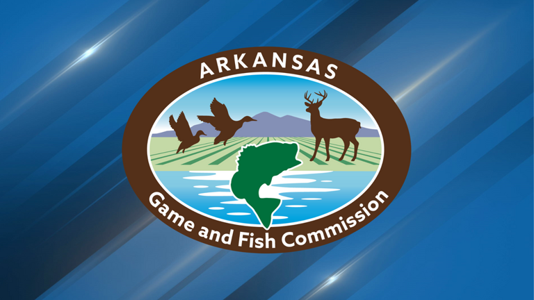 Arkansas drought could make duck hunting season tougher, costlier