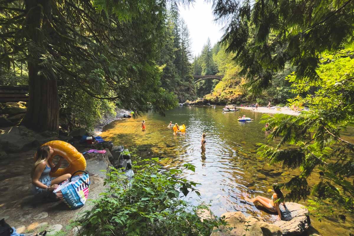 7 Forested Washington Parks in the Southwest Region You Need to Explore