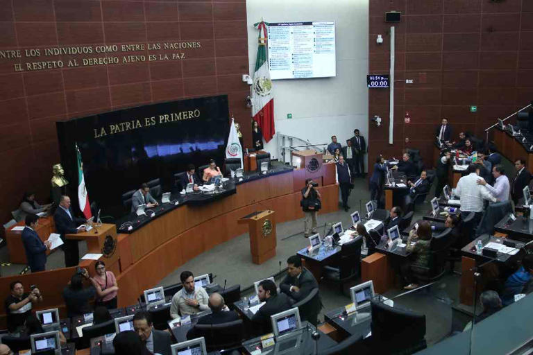 Cámara de Senadores. Foto: Cuartoscuro.