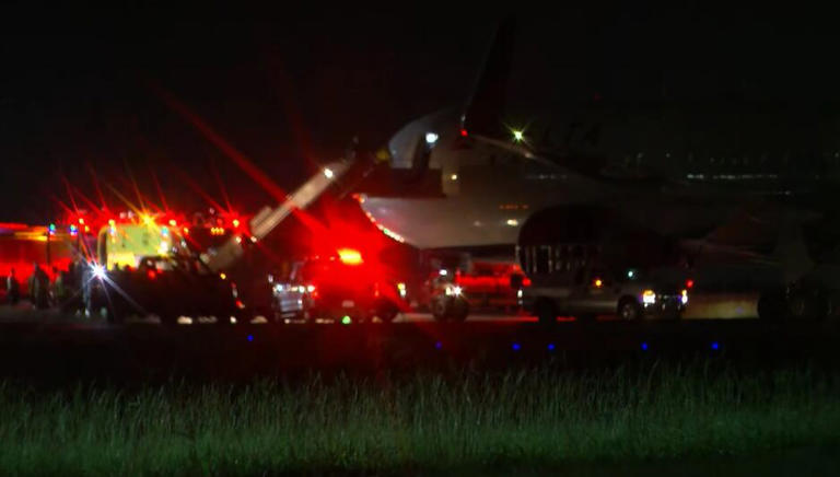 Sources: Carolina Panthers were on plane that ran off taxiway at ...