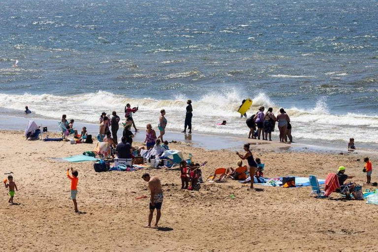 As of Friday, Aug. 9, 2024, there are 28 Michigan beaches closed or under contamination advisories, including several on Lake Michigan and Lake Huron.