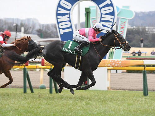 競馬 関屋記念で高速決着を制すのは？ 新鋭若手騎手が札幌から乗りに来る伏兵の一発に期待