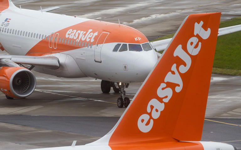 EasyJet claims customers prefer to pay for luggage