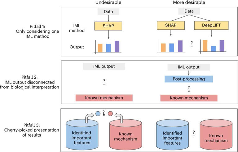 Using AI for biological discovery 1