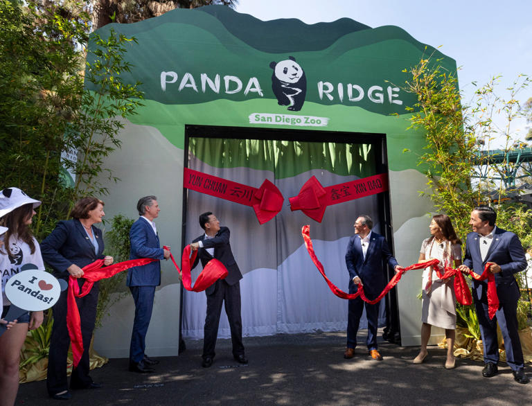 Toni G. Atkins, Gov. Gavin Newsom, His Excellency Xie Feng, Paul Baribault, Si Ping, and Todd Gloria inaugurate the Panda Ridge at San Diego Zoo.