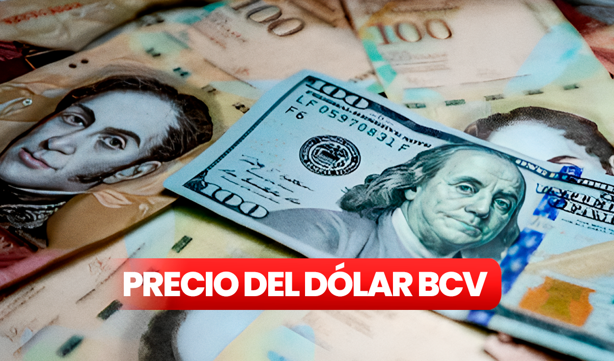 Revisa El Precio Del Dólar BCV Y Dólar Paralelo En Venezuela HOY ...