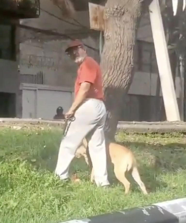 El <strong>dueño</strong> del <strong>perro</strong> no hizo nada para detener a su mascota. Foto: @TlalpanVecinos.