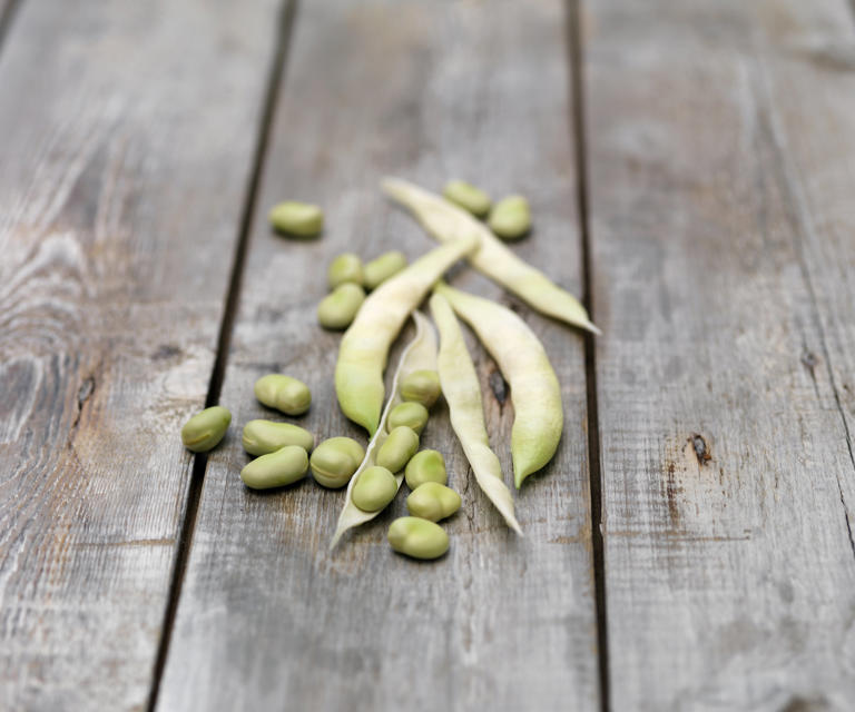 Bush and pole varieties of lima beans are simple to grow from seed (Image credit: Getty Images/ Diana Miller )