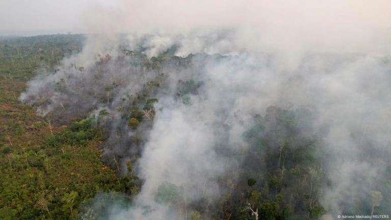 Vegetação da Floresta Amazônica não está 