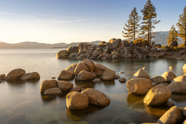 A view of Lake Tahoe trees.