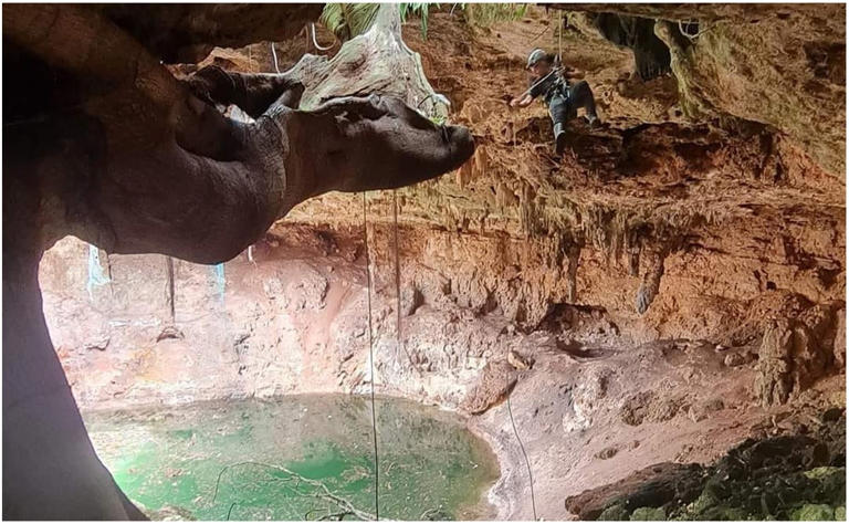 Aún no se ha determinado la profundidad ni extensión del cenote, que se suma a los que ya existen en Yucatán. Foto: Archivo