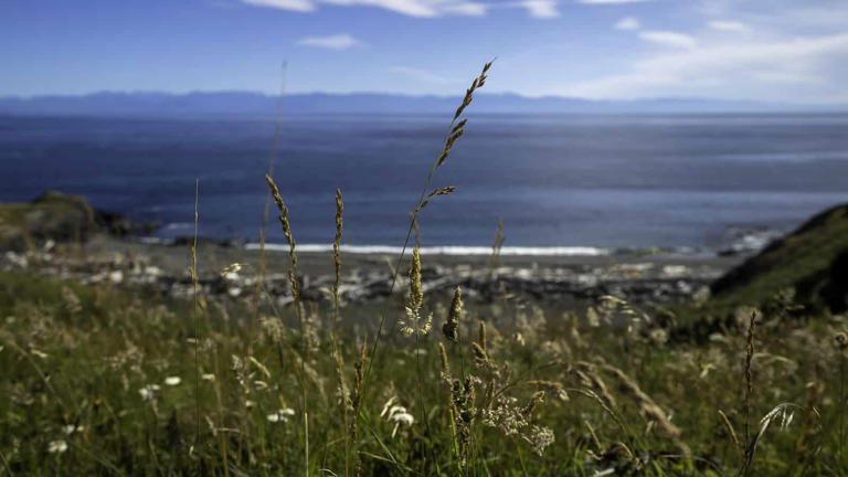 Spend 4 mesmerizing days exploring Washington's San Juan Islands by ferry, foot, bike and kayak. Look for orcas off the shoreline, explore galleries and taste some amazing farm to table food.