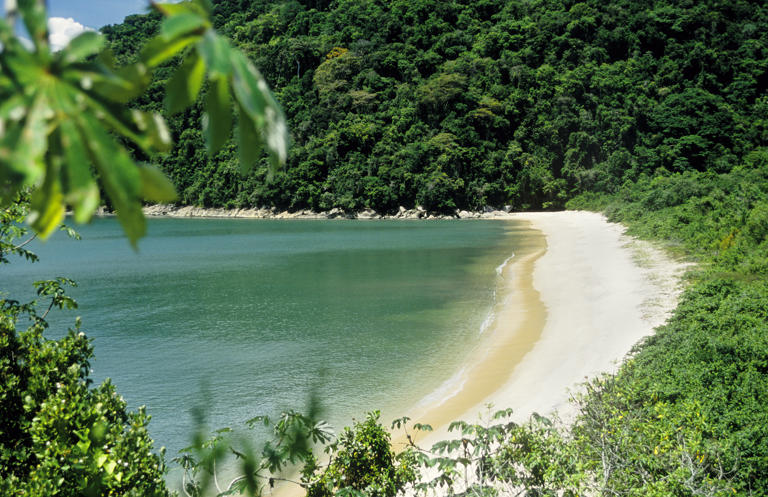 Paraty vai além dos cartões-postais mais conhecidos. Por trás de cada esquina, há segredos escondidos, desde ateliês de artistas locais até trilhas que levam a cachoeiras e praias desertas.