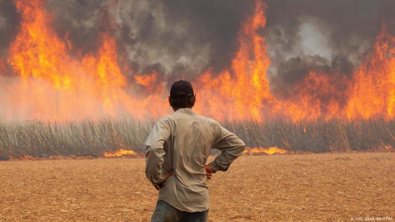 Estado de São Paulo enfrentou grandes incêndios nos últimos dias