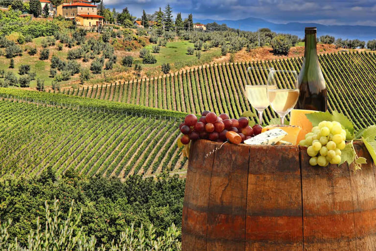 Tuscan Vineyards along the rolling hills (credit: Adobe Stock)