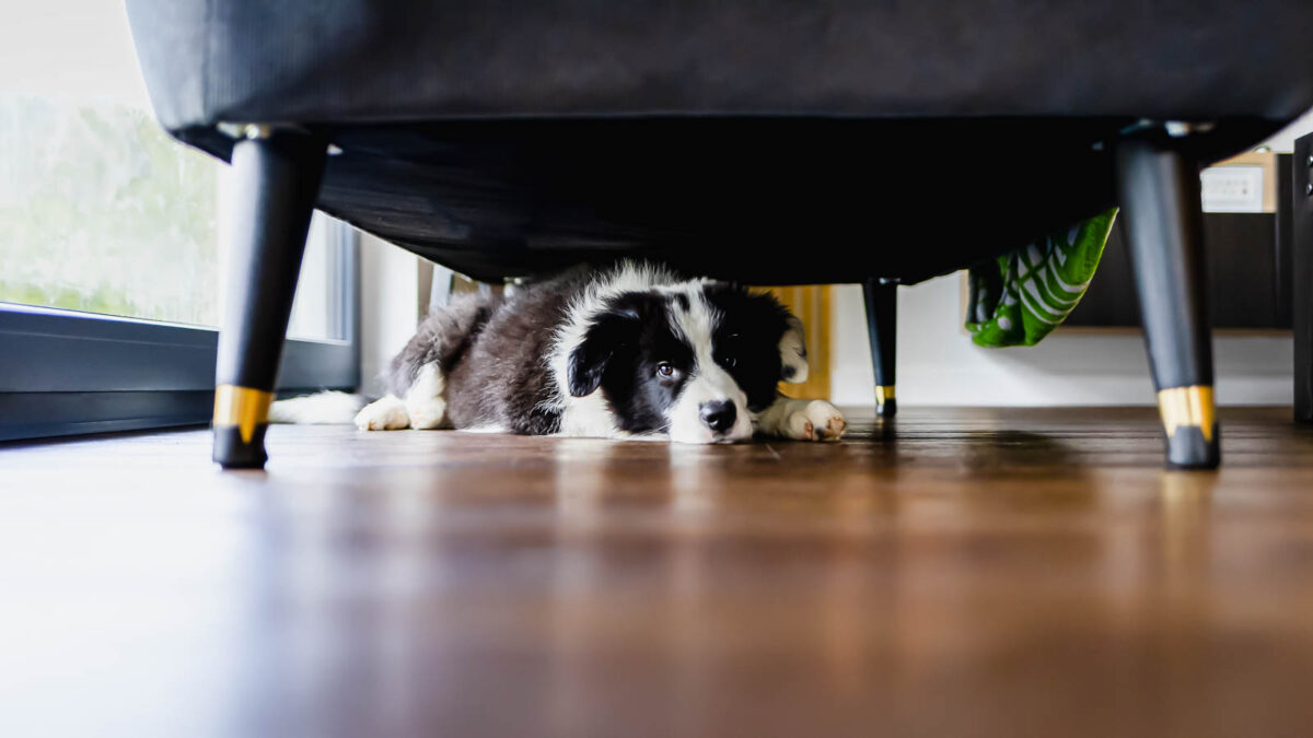Ways To Help Anxiety Without Medication