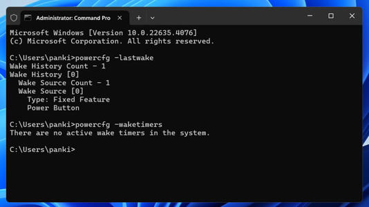 'Lastwake' command in Command Prompt